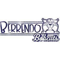 GLT101 BLUE GLITTER Thumbnail